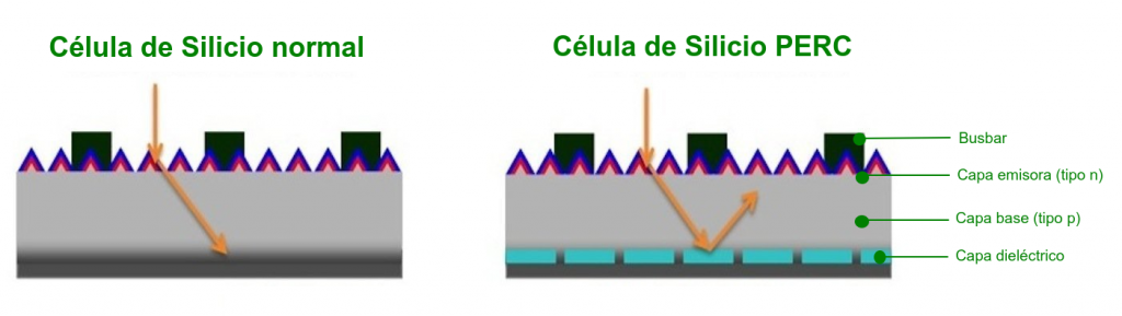 Capas de la célula de silicio normal y la célula de silicio PERC
